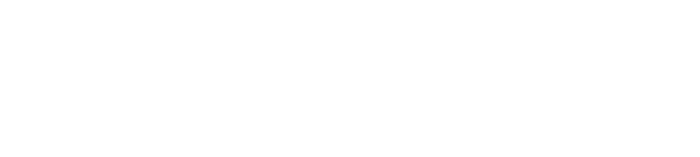 Wälderdackel